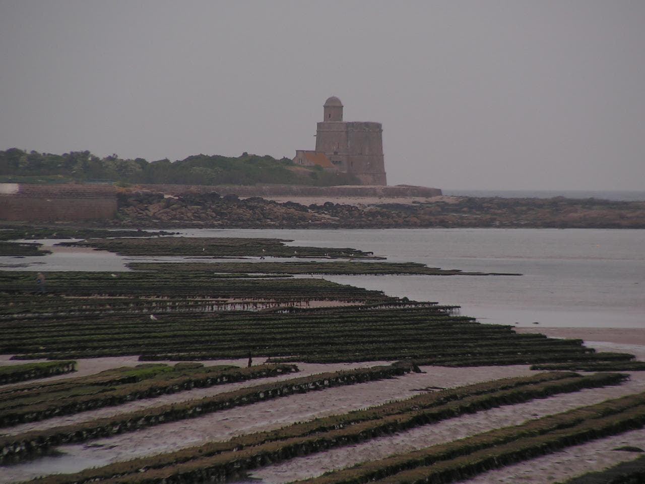 Les Gravelots