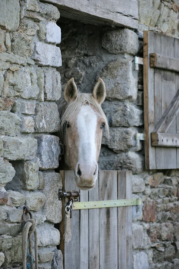 Meuble-brehal-gite-ferme-equestre-18