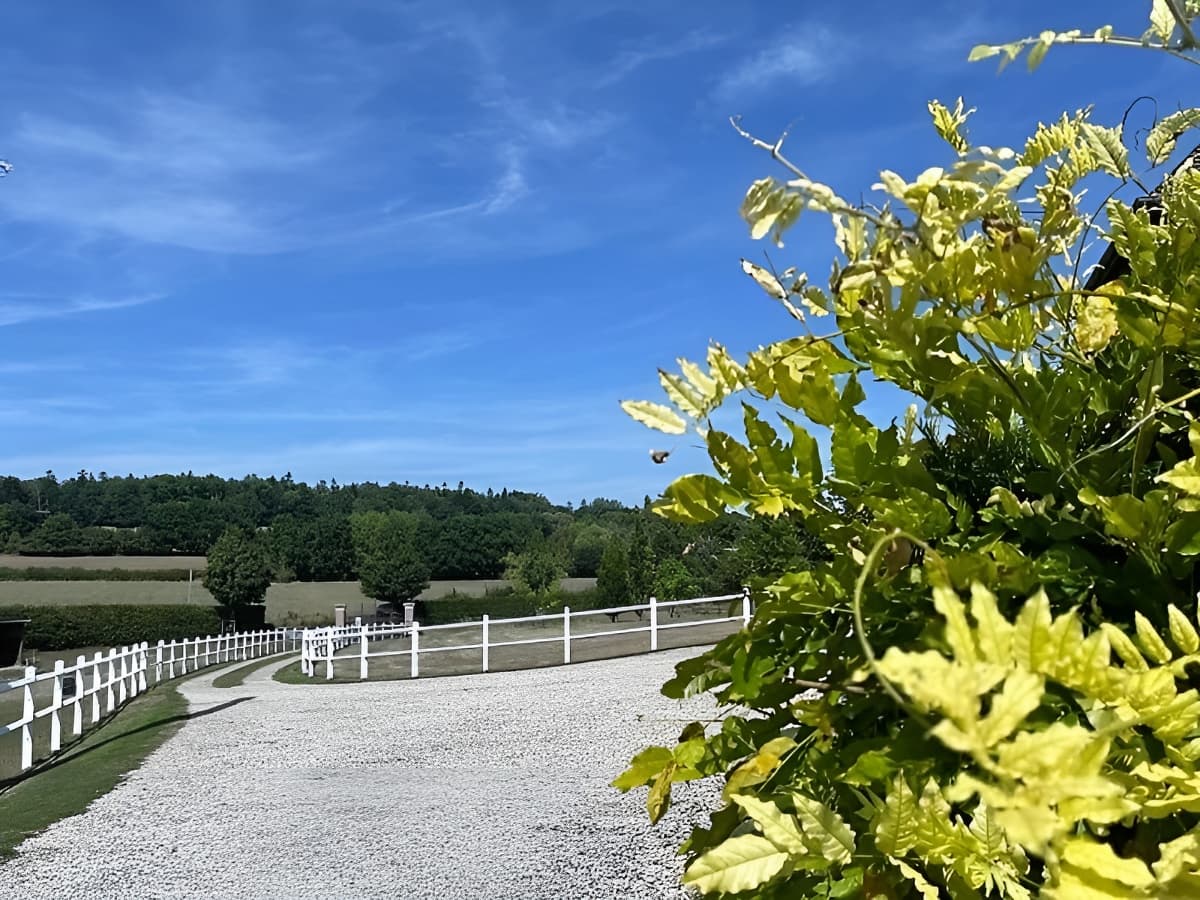 Gite Marguerite Petale entree