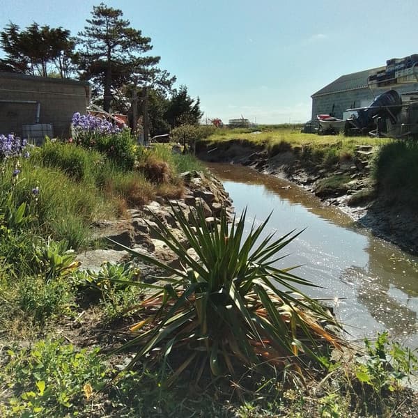 Gite gouville sur mer la maison arnaud marie line 15