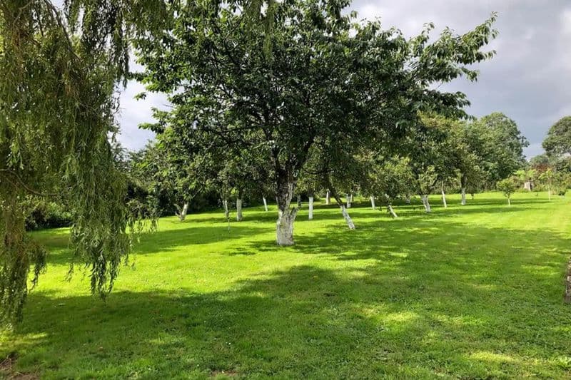 H8395-le-domaine-de-la-vallee-st-martin-de-varreville-10