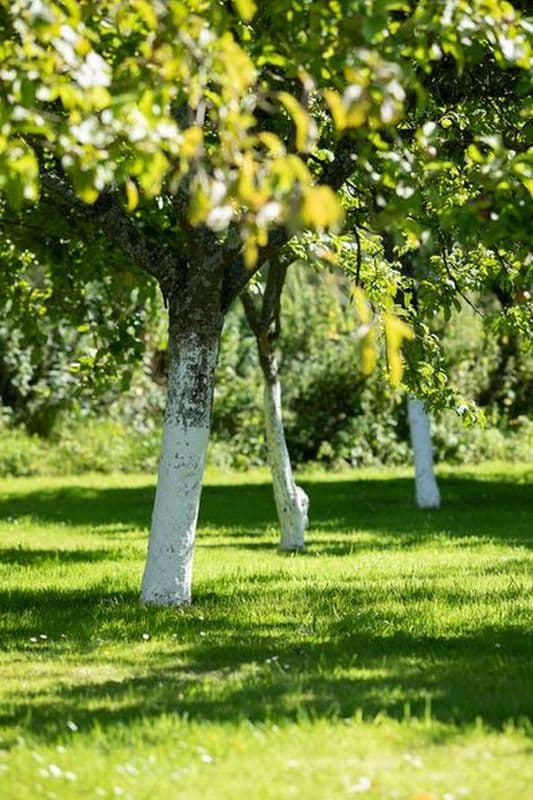 H8395-le-domaine-de-la-vallee-st-martin-de-varreville-11