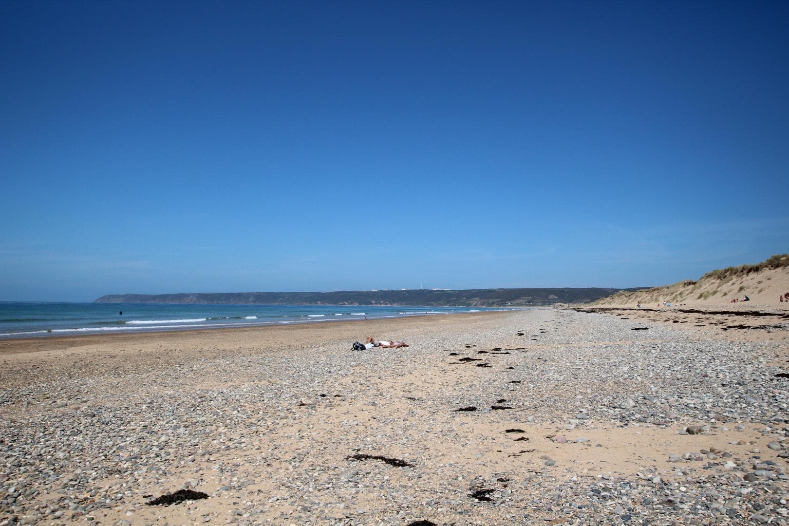 Oeillet des dunes