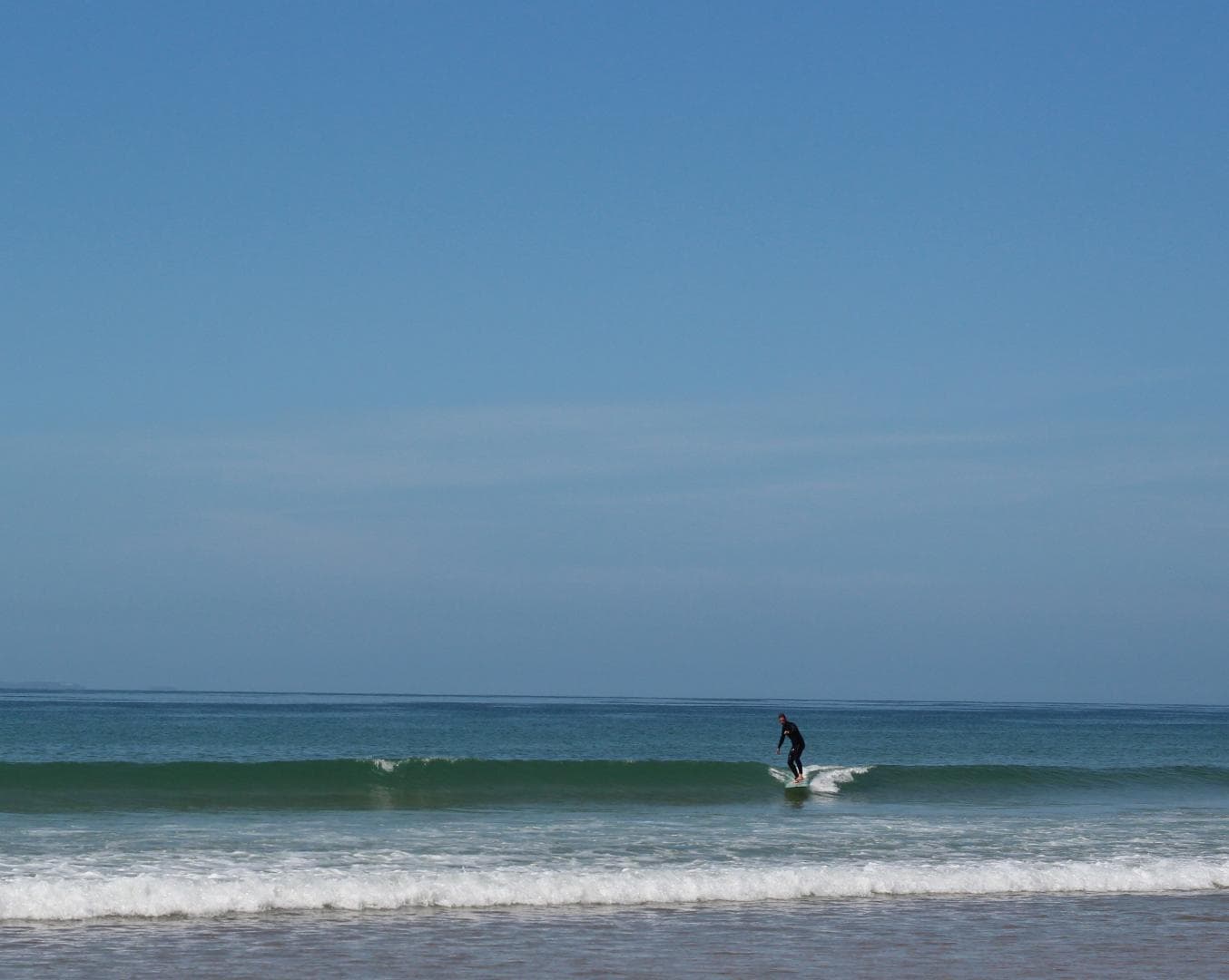 Oeillet des dunes