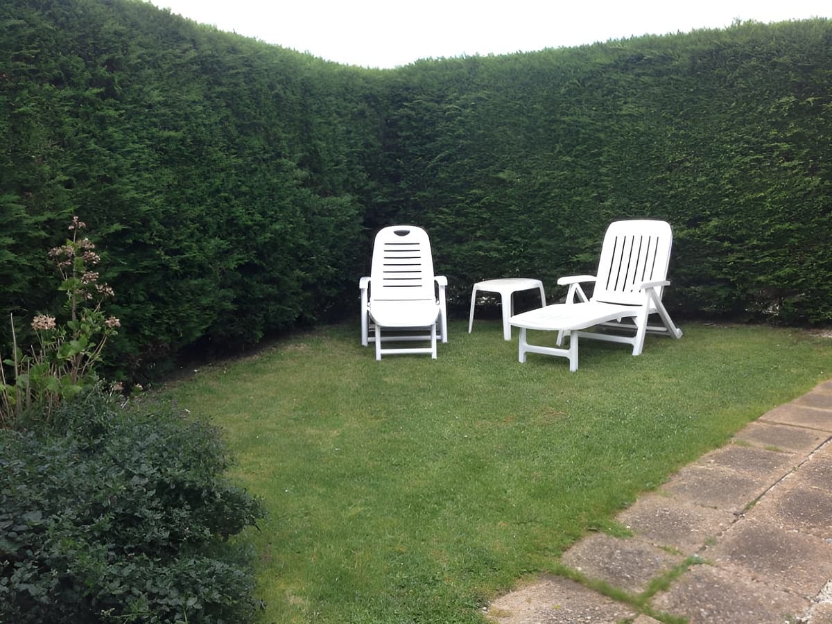 Le jardin