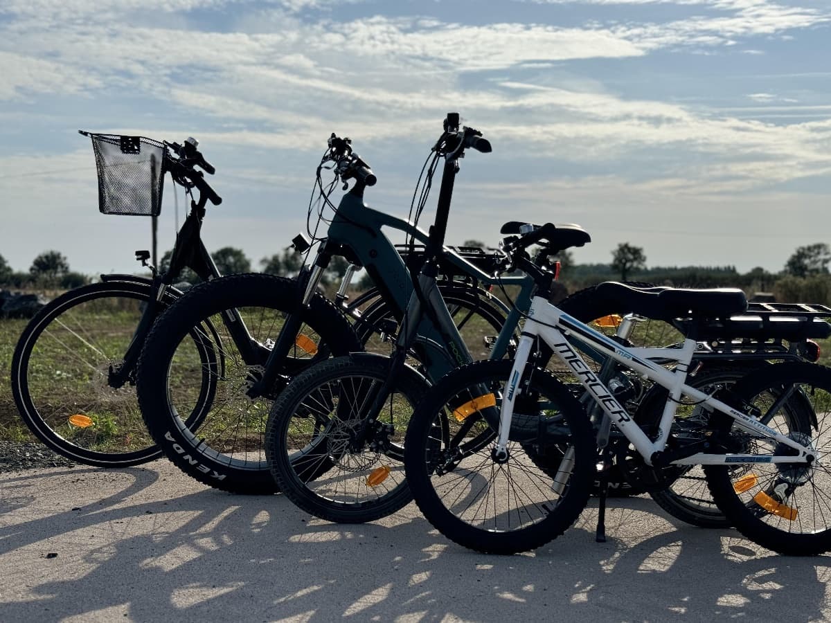 Vélos à la location