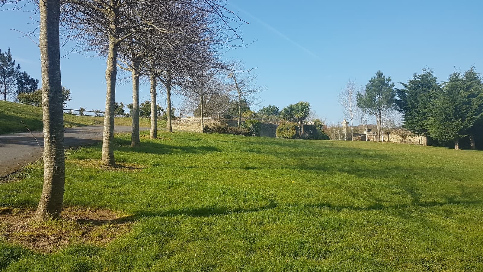Le jardin