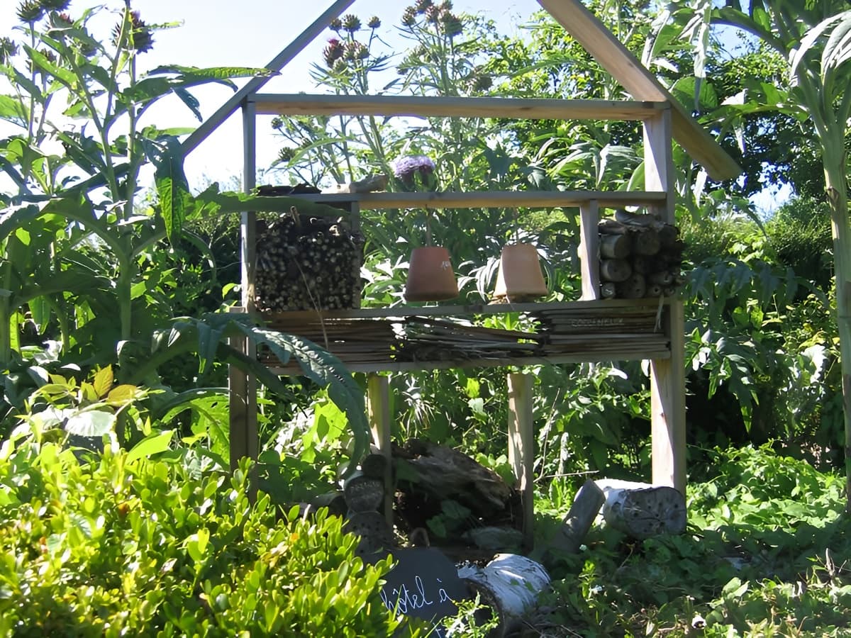 Jardin Nature des Marettes - Amblie