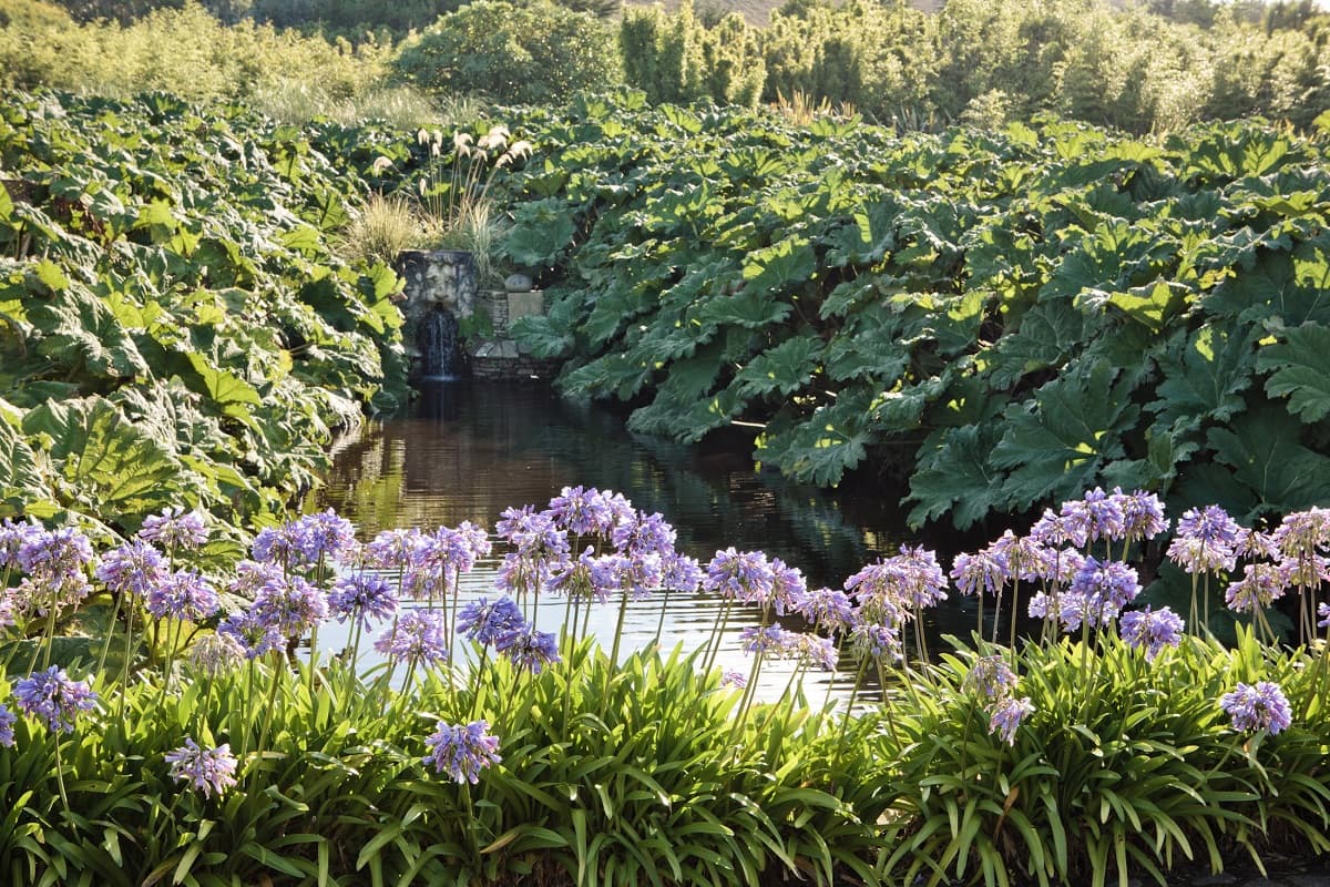 Jardin botanique - Vauville