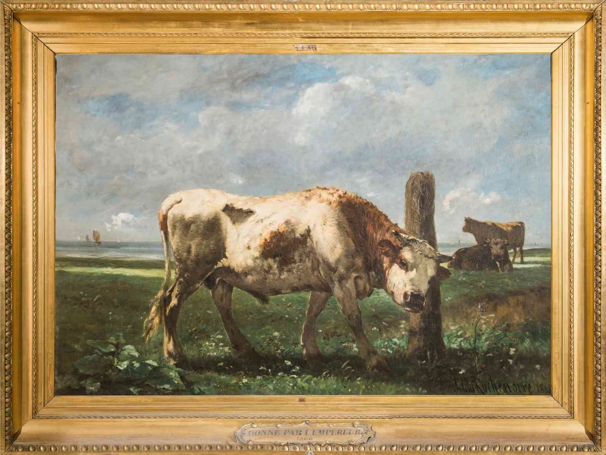 Jeune taureau