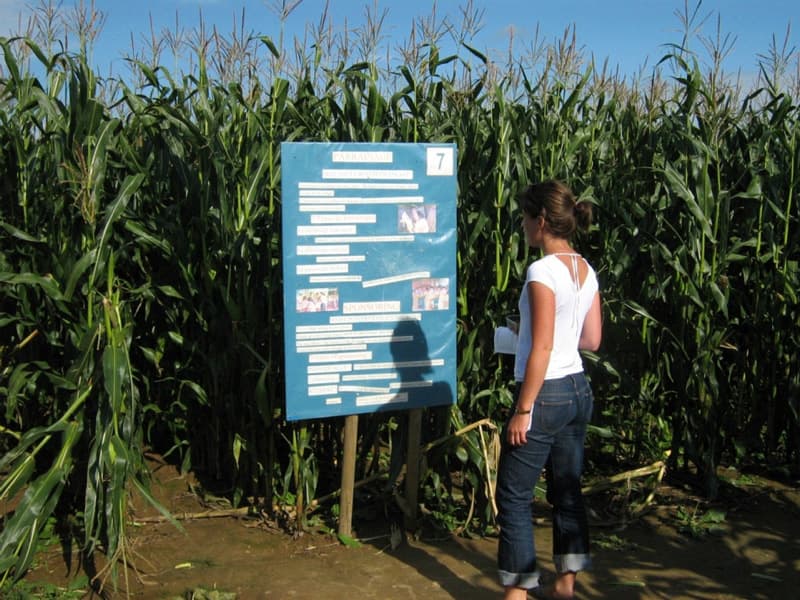 LABYRINTHE LA CLE DES CHAMPS