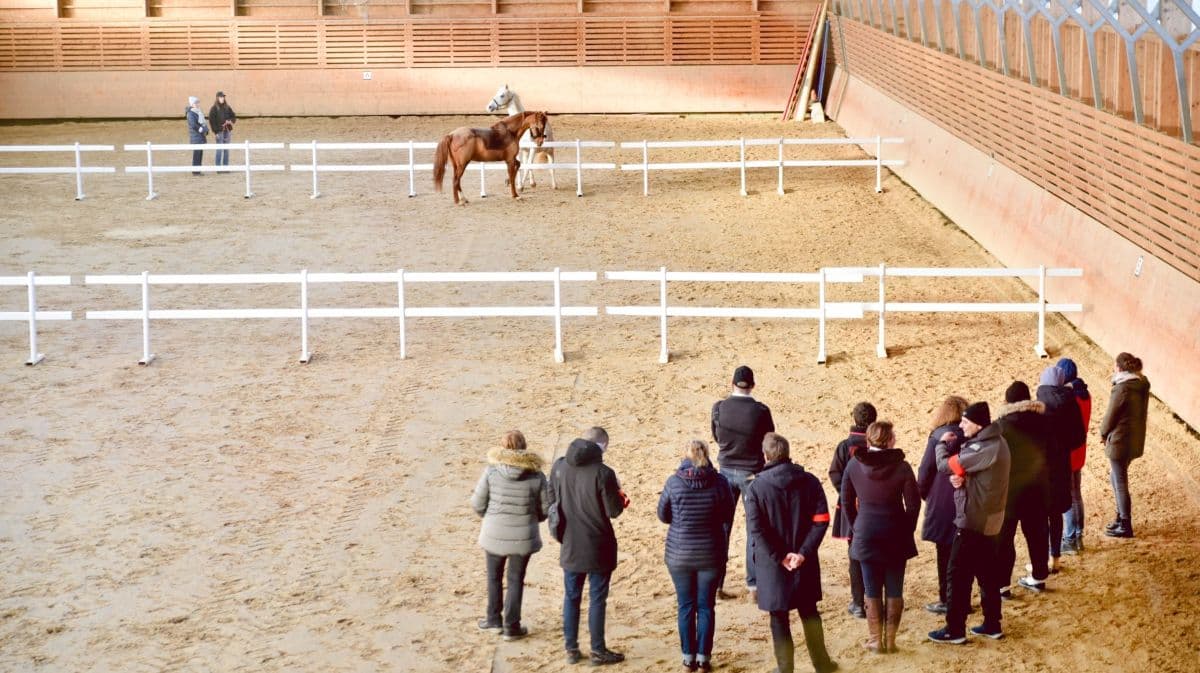 La_Chaise-Baudouin_Equi-Coaching5