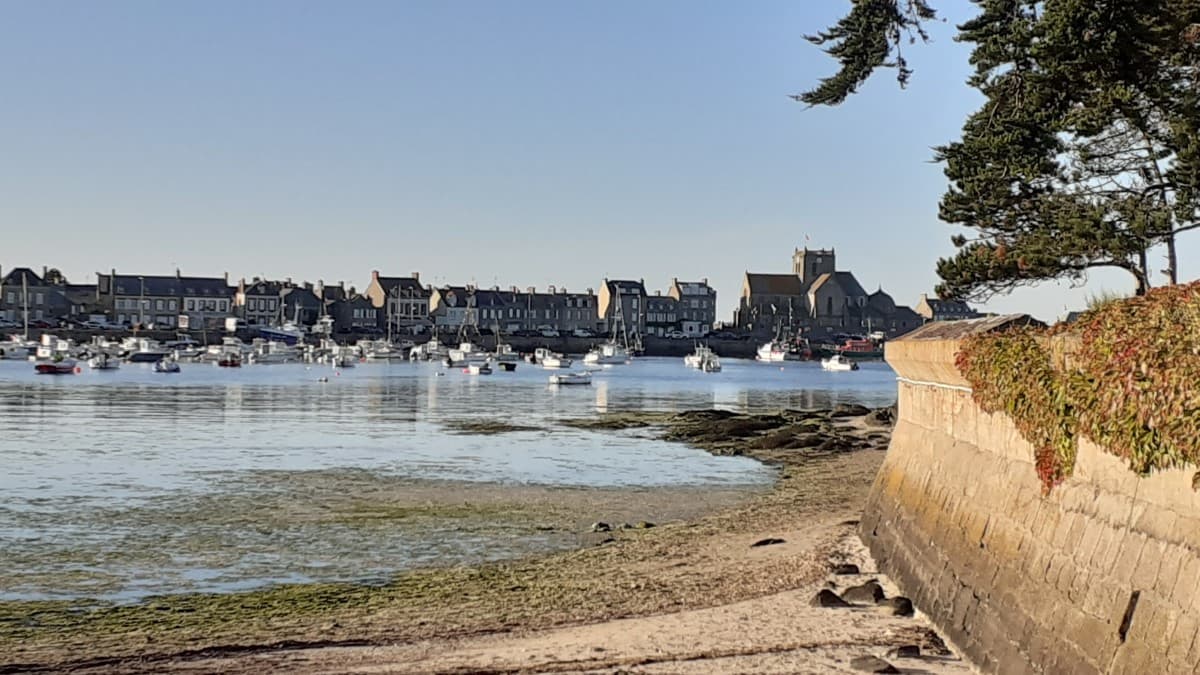 Barfleur - Maison de ville - 19
