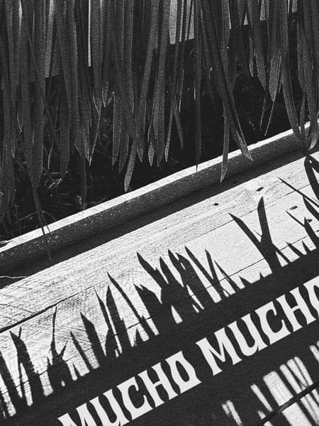 Mucho Mucho (2)