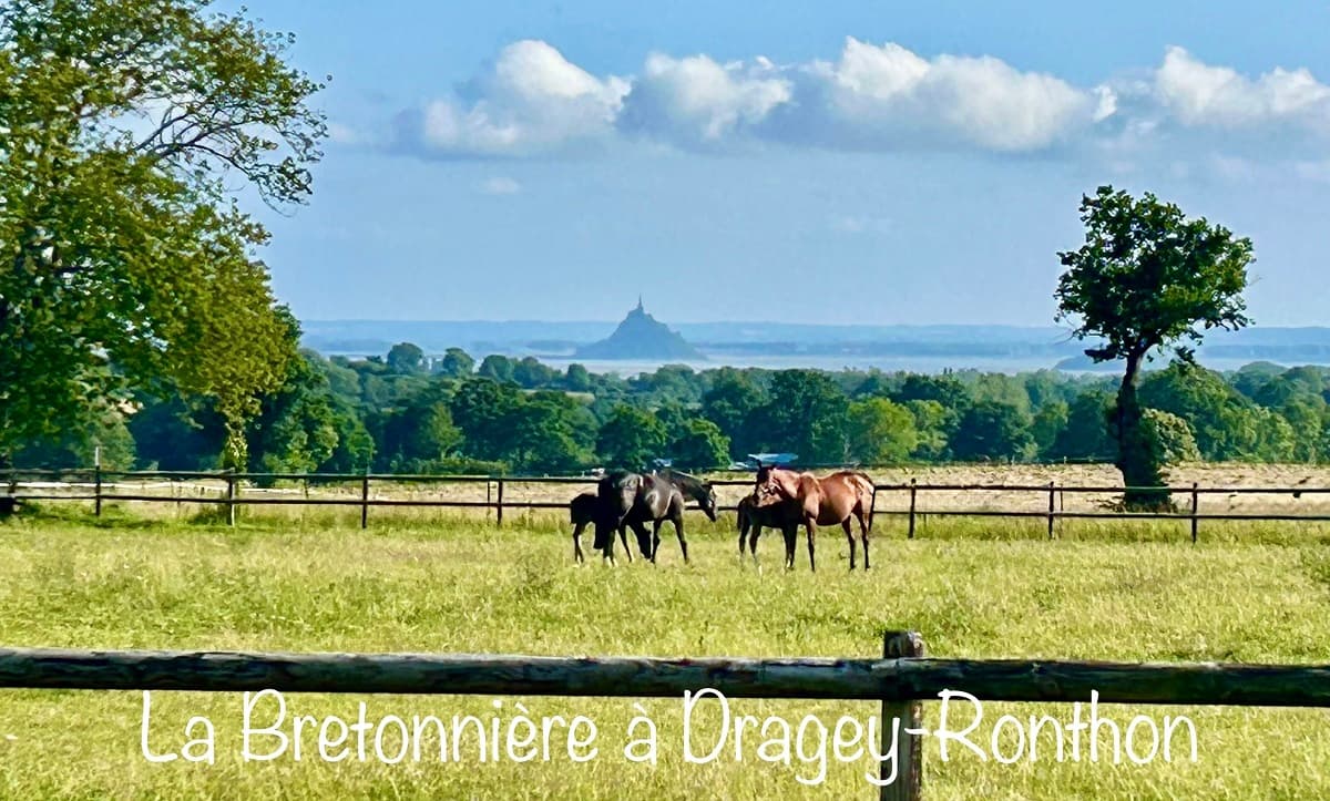Dragey-Ronthon_La_Bretonniere1