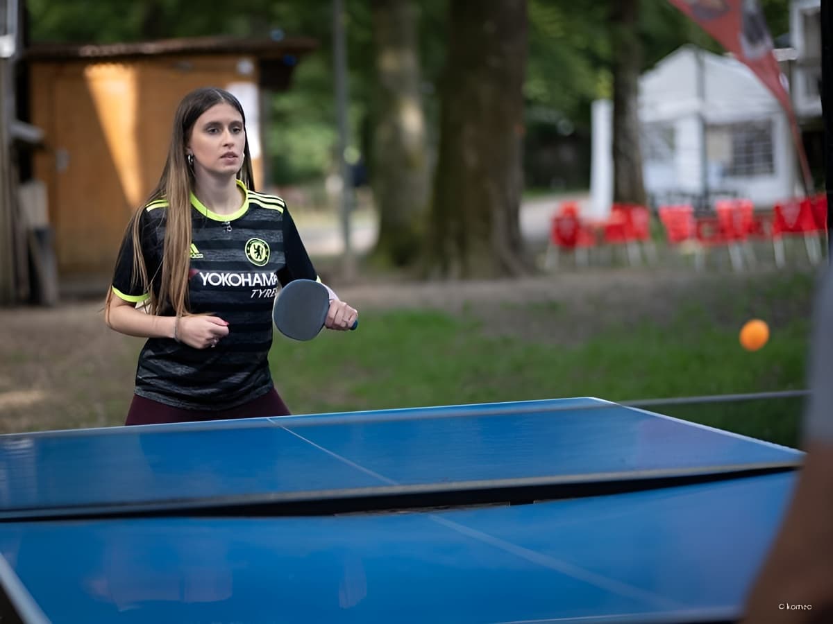 PING PONG SEMINAIRE devolis