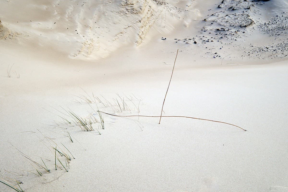 EXPOSITION DE JEAN-PHILIPPE GAUVRIT