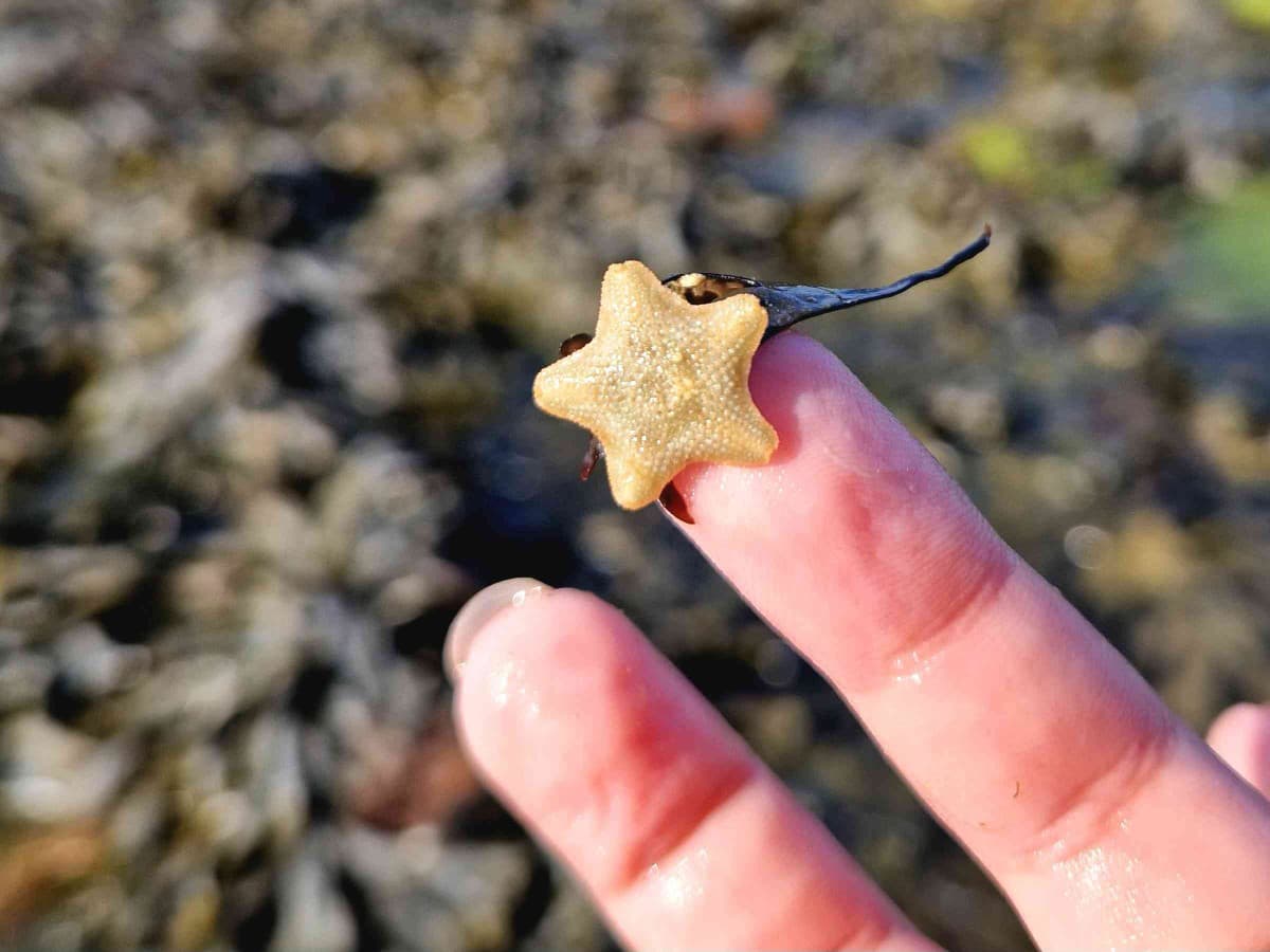Pêche avec Tchak Aventures