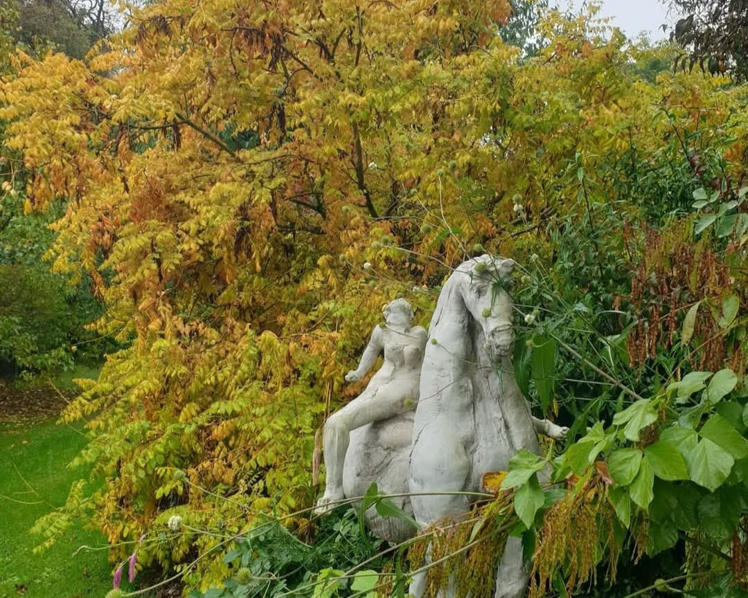 Saint-Georges-de-Rouelley_Le_Jardin_Habite1