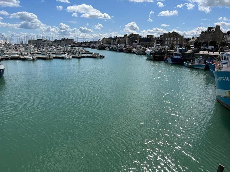 Saint-Vaast-la-Hougue - Les vélos de Saint-Vaast - 8