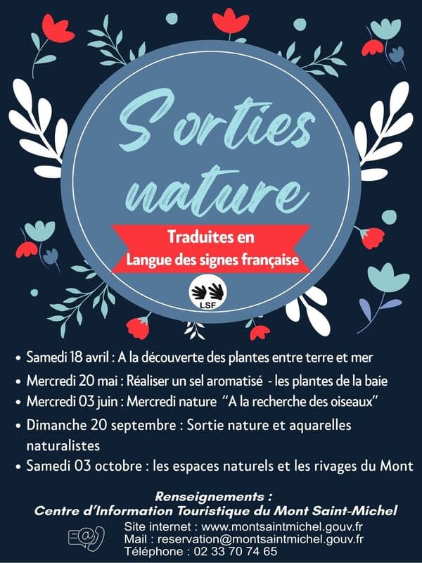 Flyer Invitation Anniversaire Moderne Illustré Floral Bleu Rouge - 1