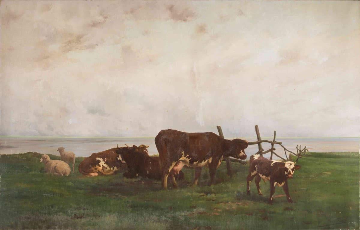 Sur la falaise, vaches normandes