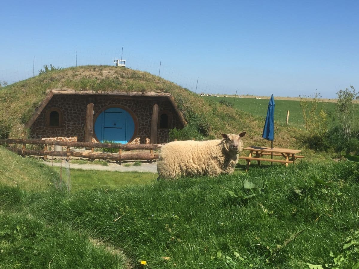 Tanis_Hobbit_Bois_de_Bouc1
