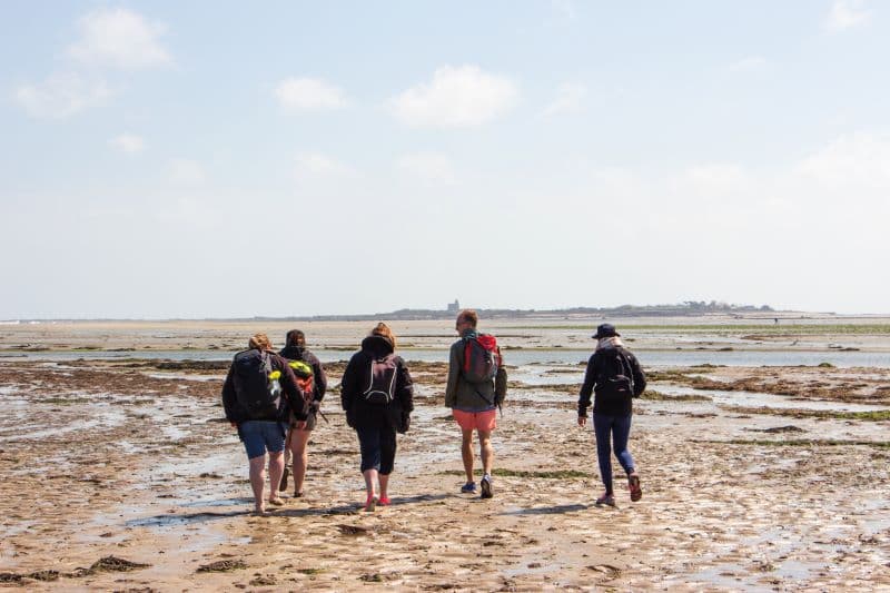 Traversée à pied et visite commentée de l'île Tatihou - Mayol x CUPN