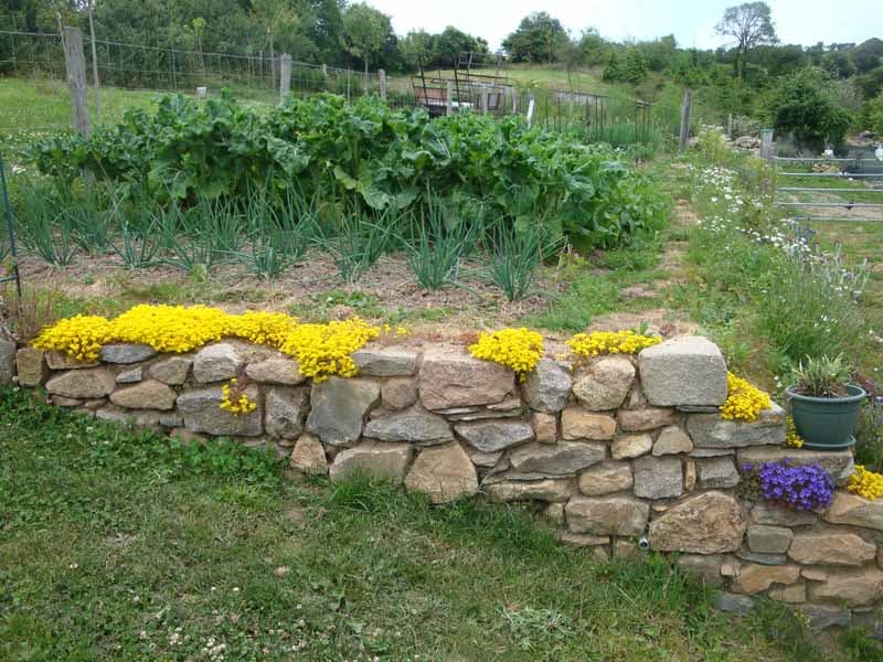 Tréauville_CH_M.Le Maux_le jardin