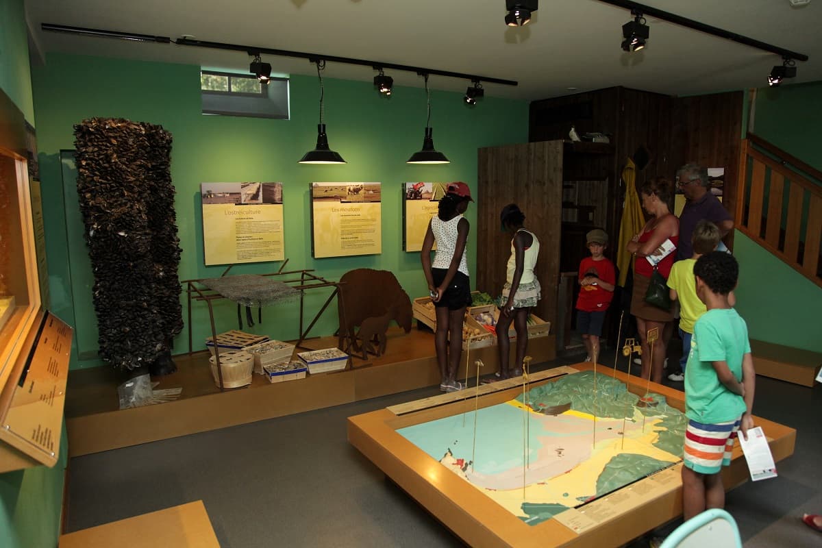 Vains_Ecomusée de la Baie_salle des activités humaines