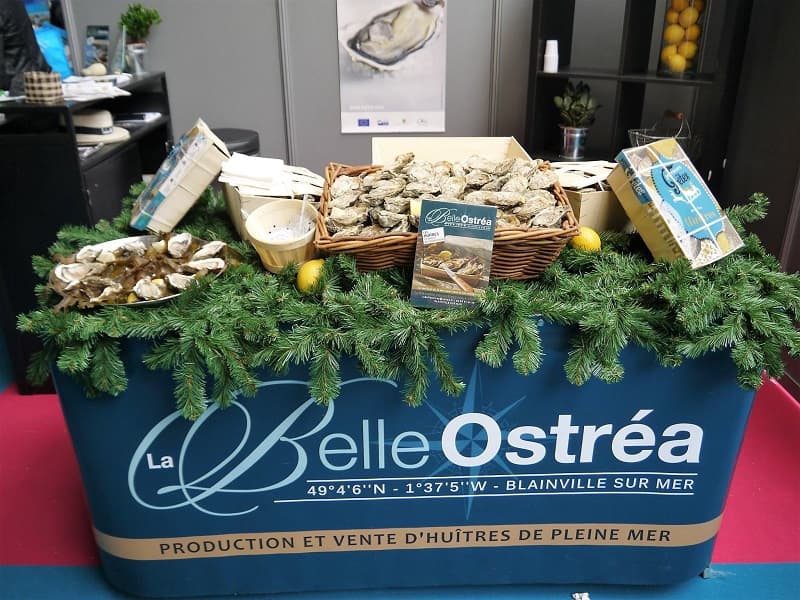 agon-coutainville-la-belle-ostrea (2)