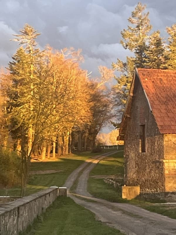 Allée