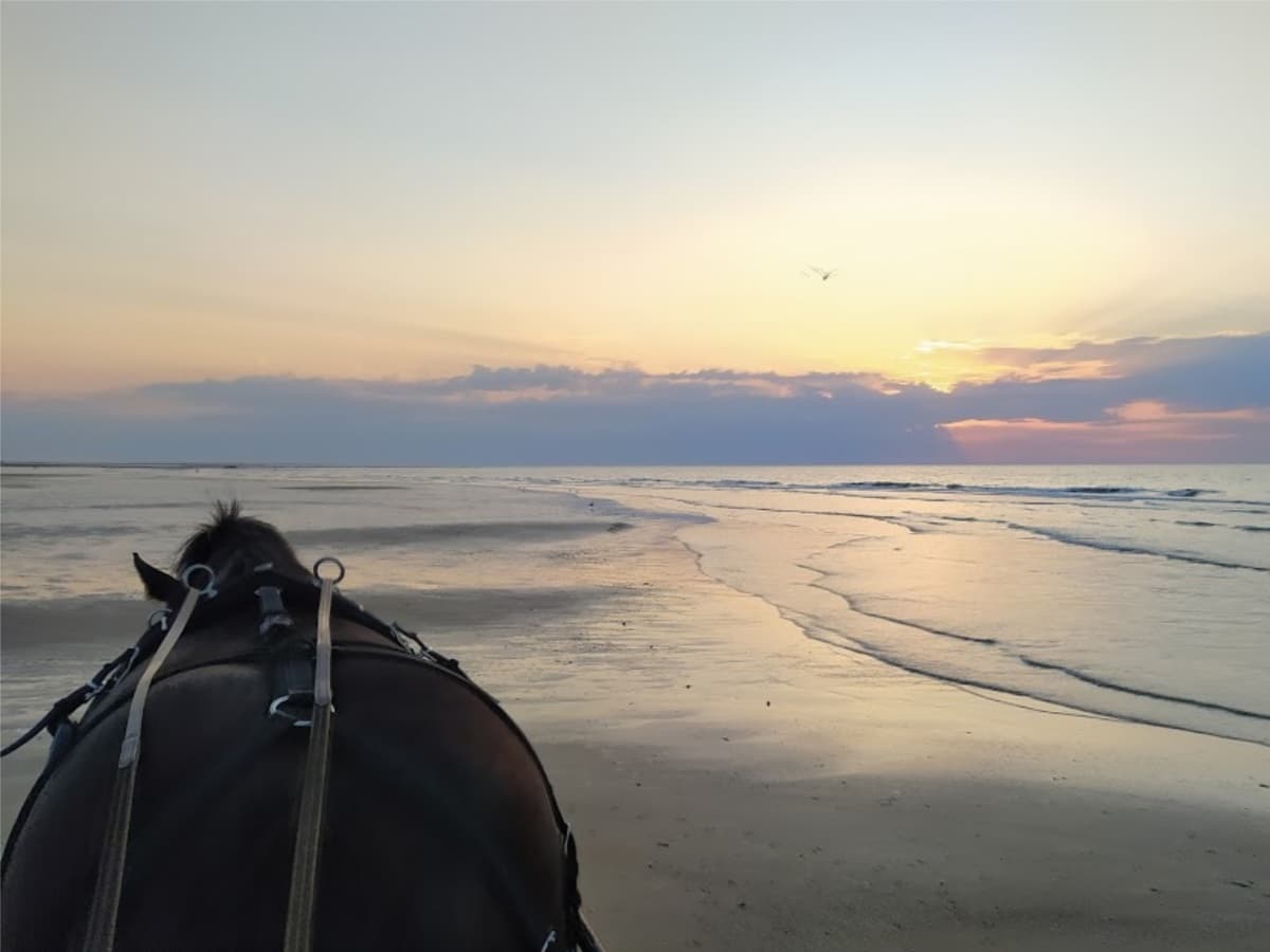 balade en calèche sur la plage, Houlgate