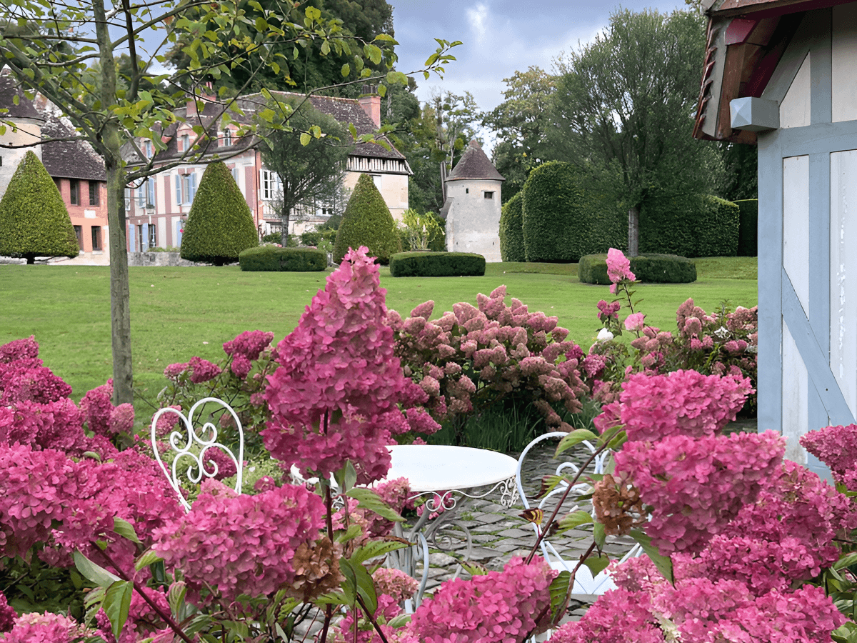 Les hydrangeas de la cabane du lutin