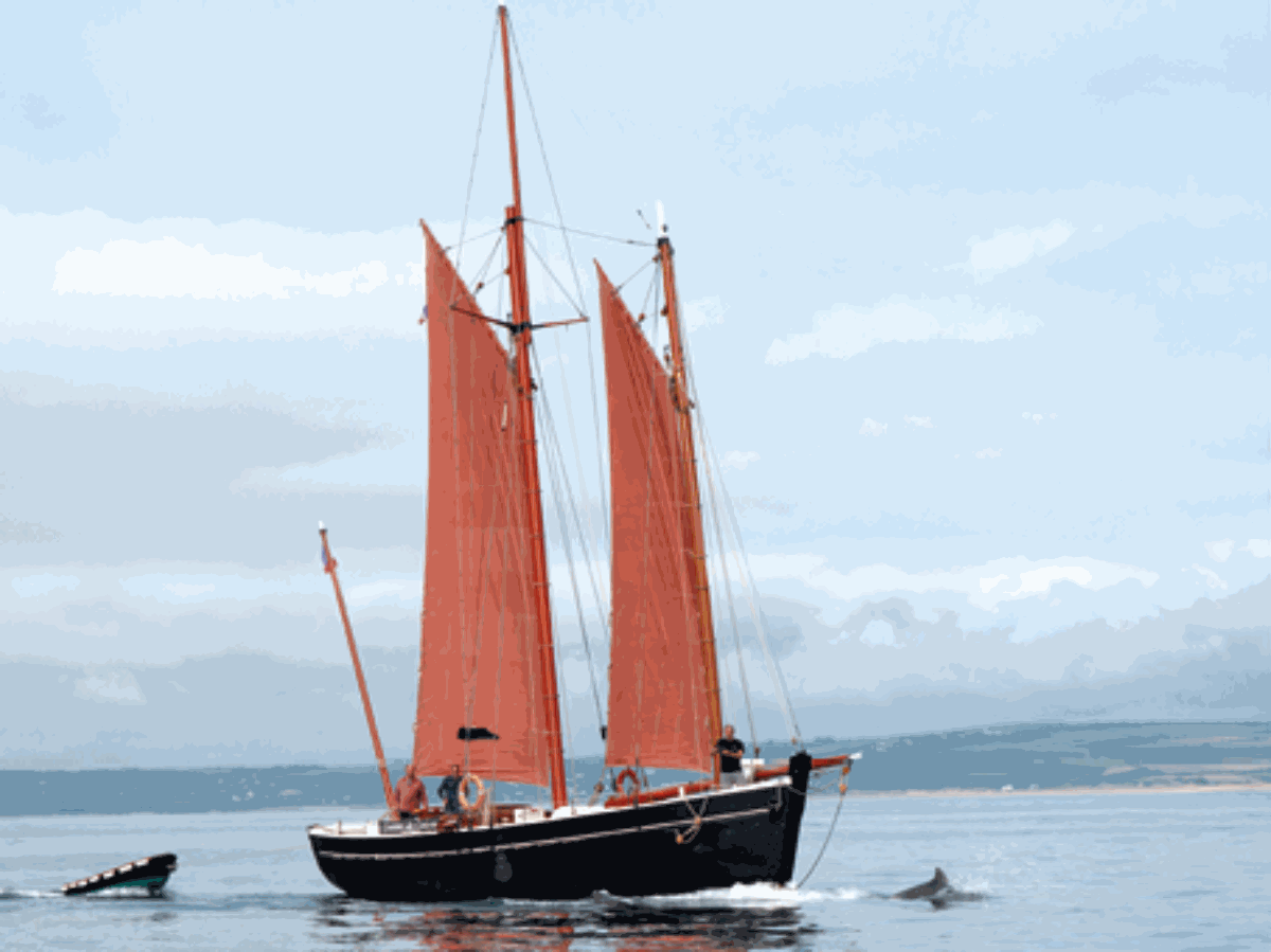 carteret-neire-maove- 2