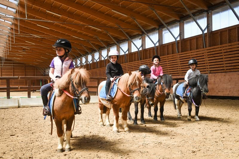 centre_equestre_stloagglo_2©PYL