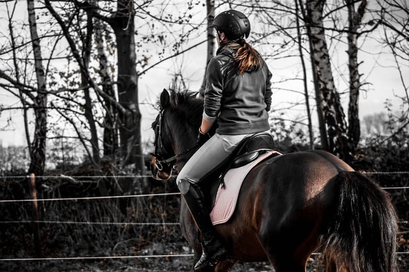 centre-equestre-val-de-sienne