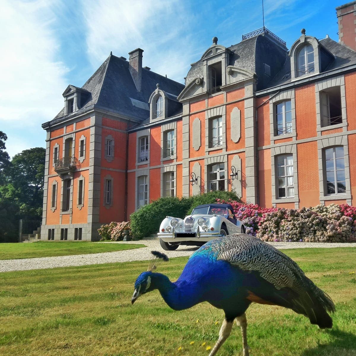 chateau-de-chantore-bacilly (7)