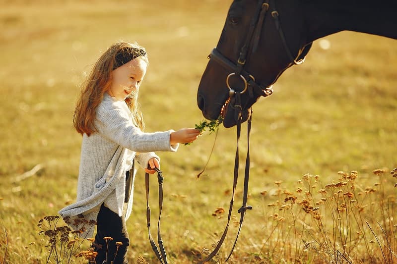Cavalier autrement - Découverte du poney