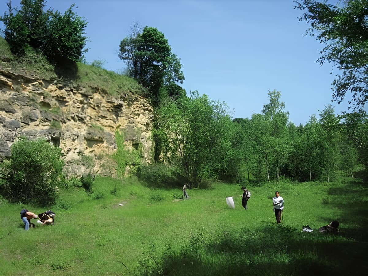 dans les carrières