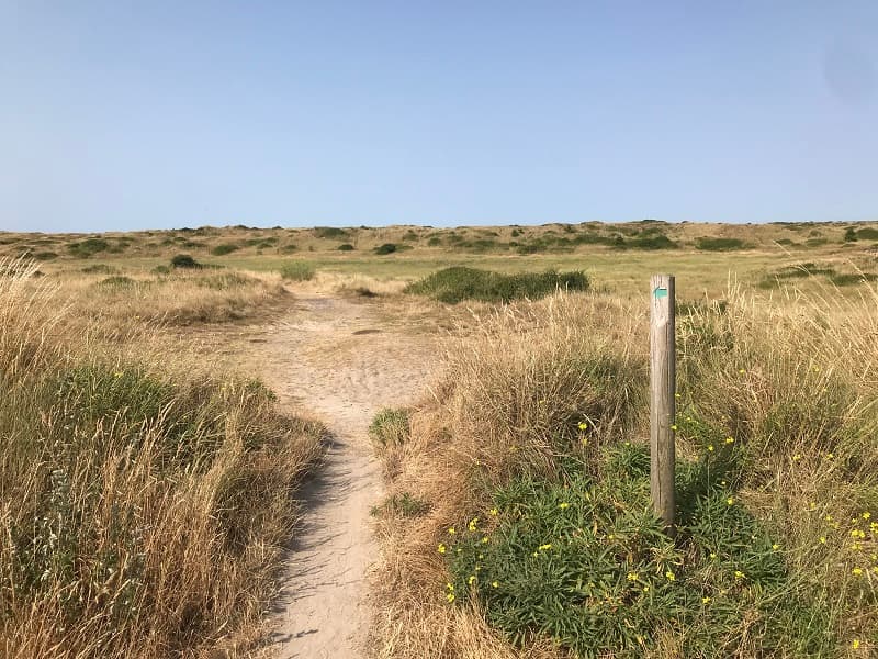 dunes-creances