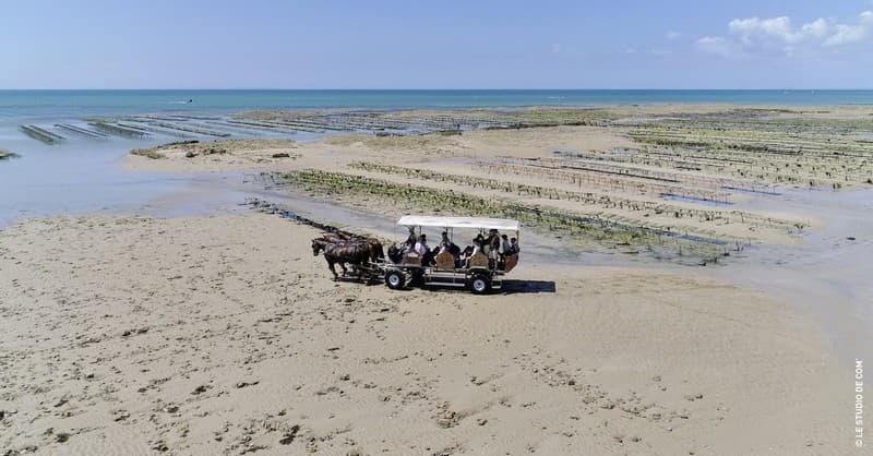 equipements de loisirs attelage des grandes marées (21)