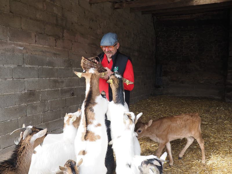 flamanville-la-ferme-aux-5-saisons-9