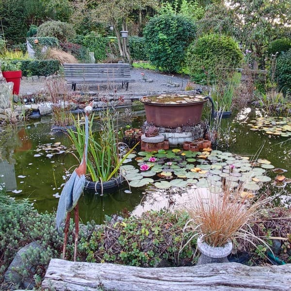 jardin de la chevallerie sourdeval les vois (1b (4)