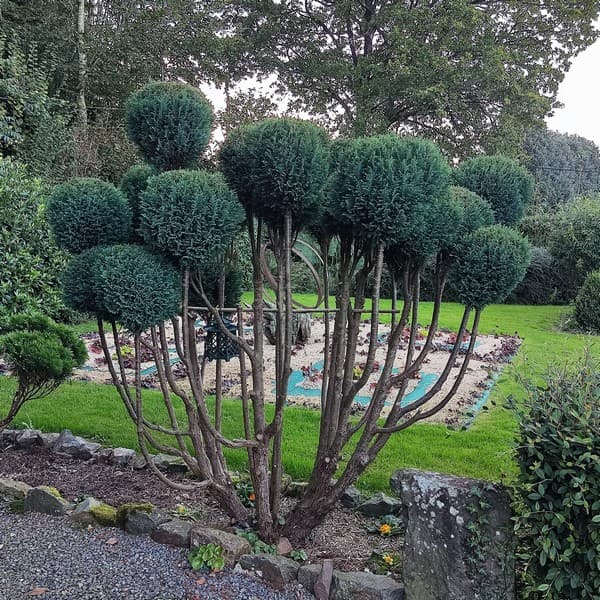 jardin de la chevallerie sourdeval les vois (1b (5)