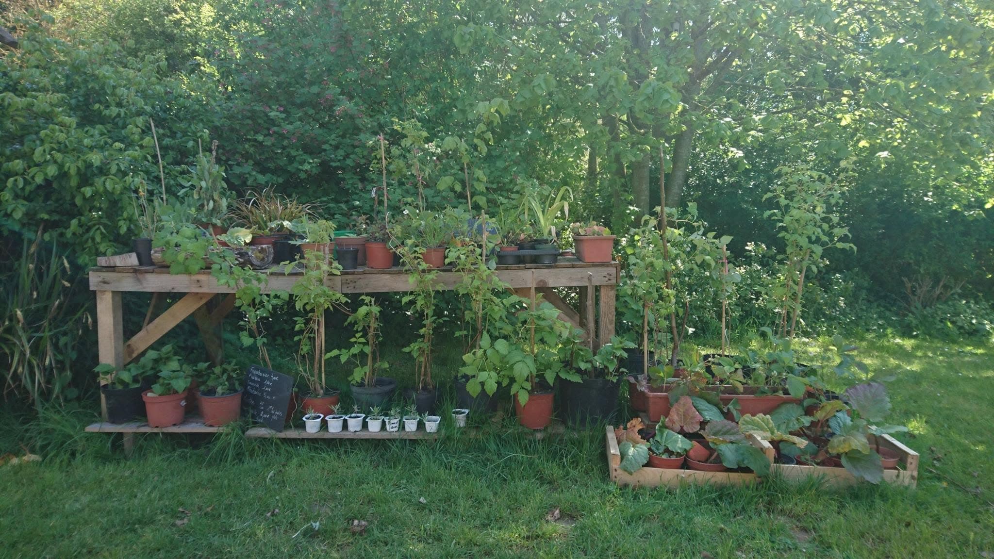 jardin des marettes 6