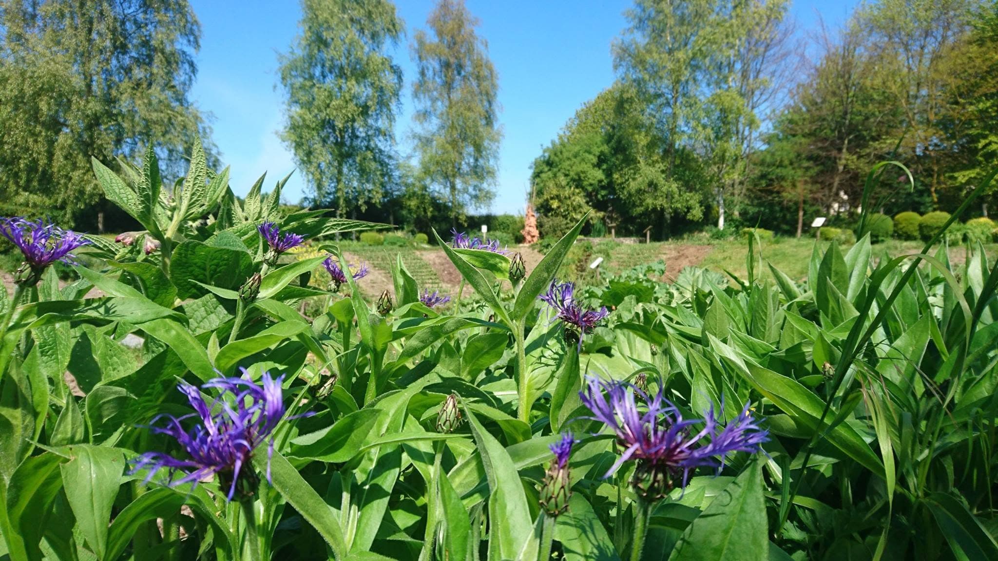 jardin des marettes 7