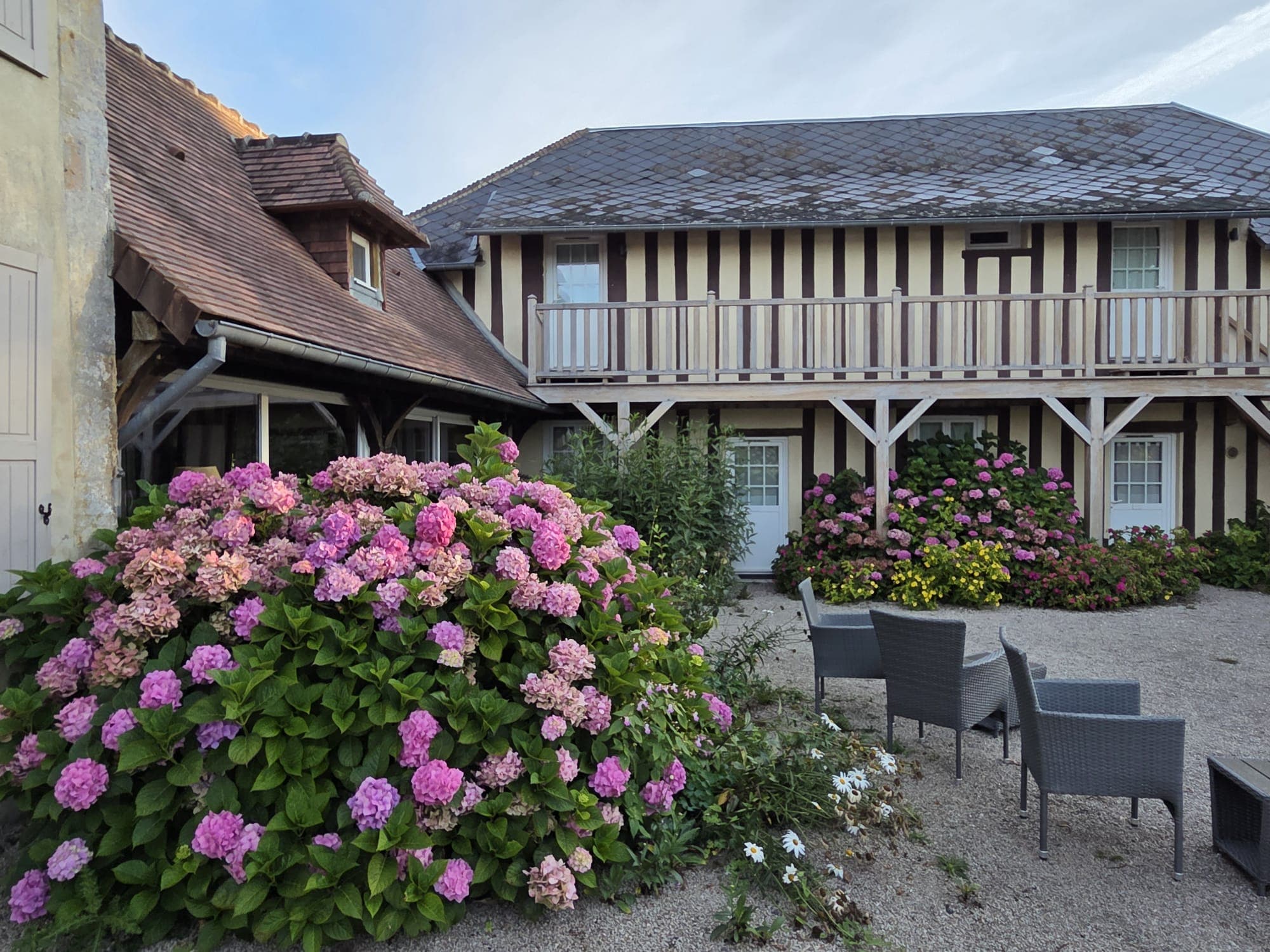 marronniers et hydrangeas