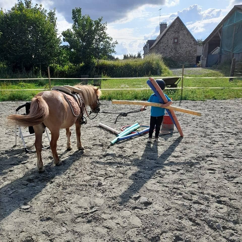 Médiation équine