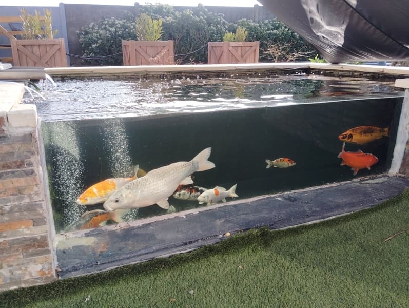 meuble-brehal-petit-koi-8